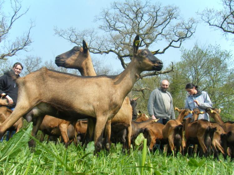 Crèmerie - La Métairie d'Ardennes Crèmerie - La Métairie d'Ardennes