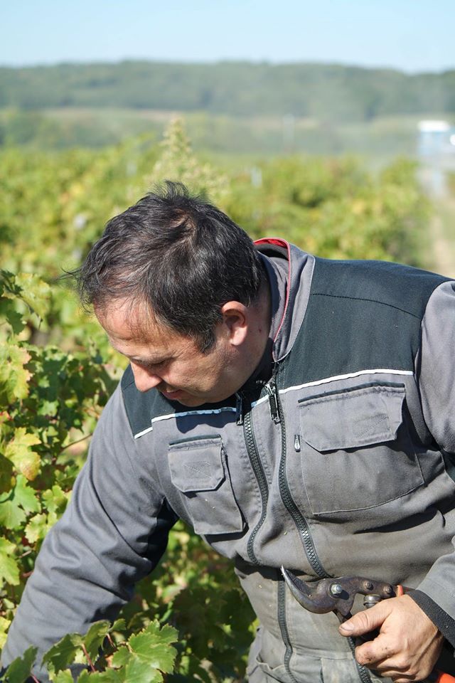 Cave - Domaine des Rouet Cave - Domaine des Rouet