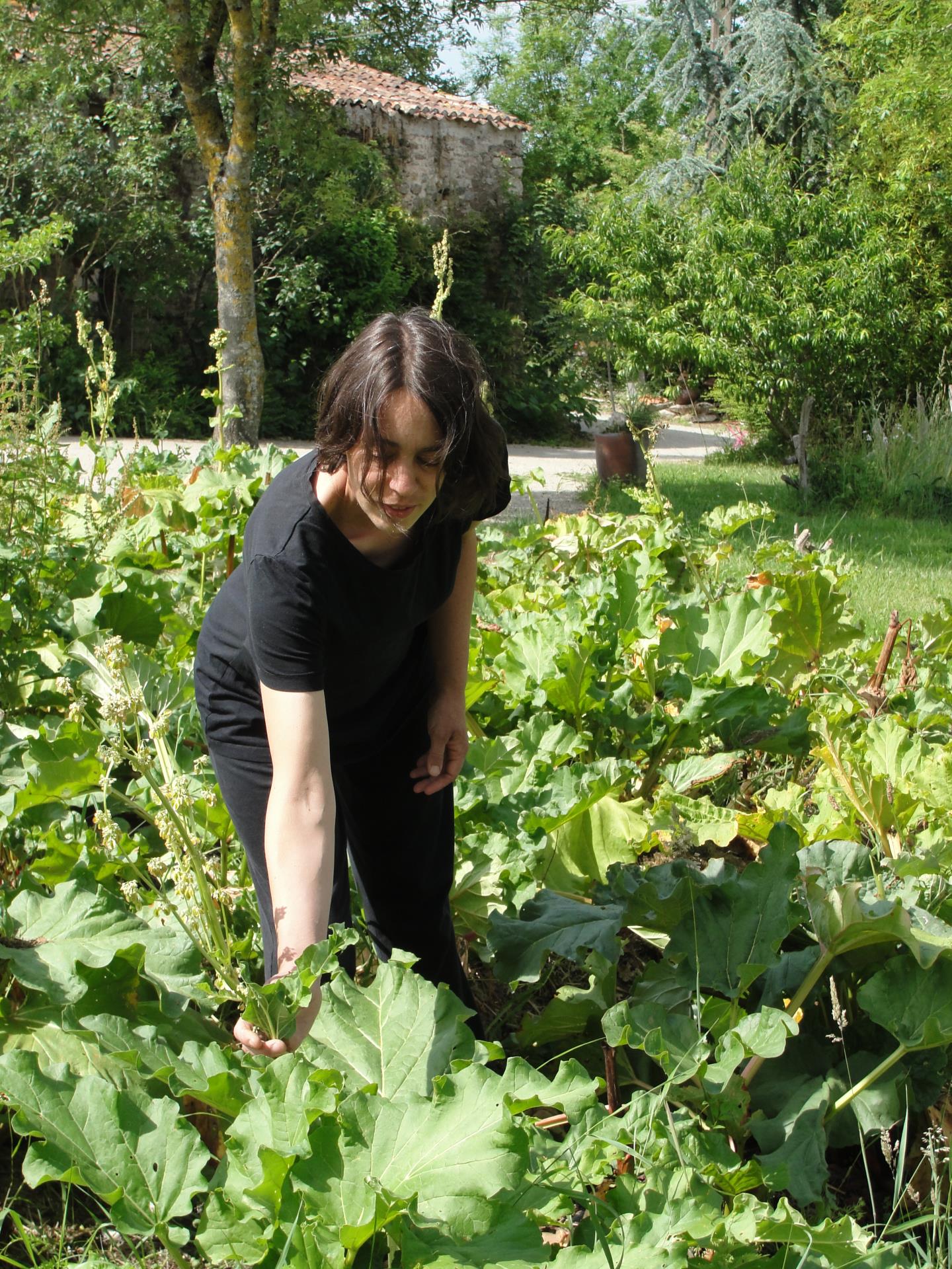 Fruits et légumes - Les jardins de la Bocardière