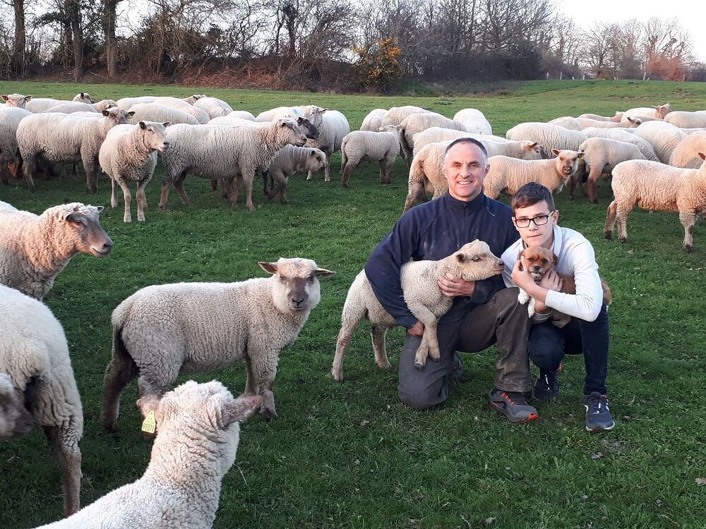 Viande - Freddy Gauvrit Viande - Freddy Gauvrit