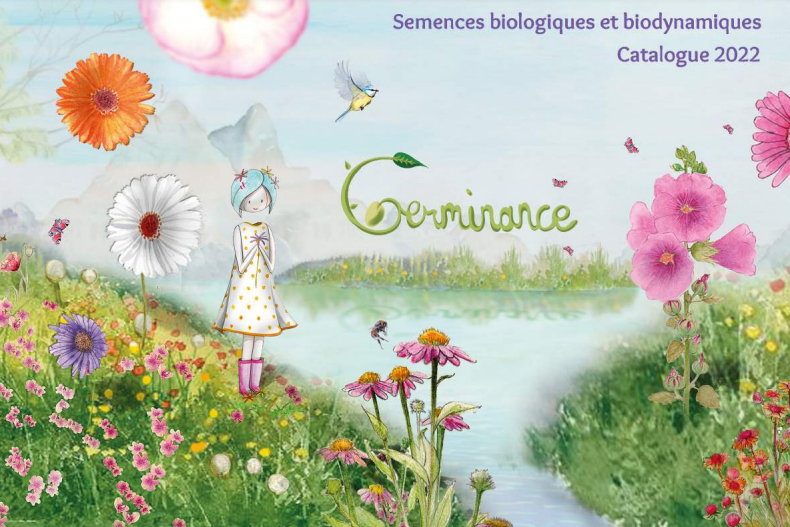 Semences - Germinance