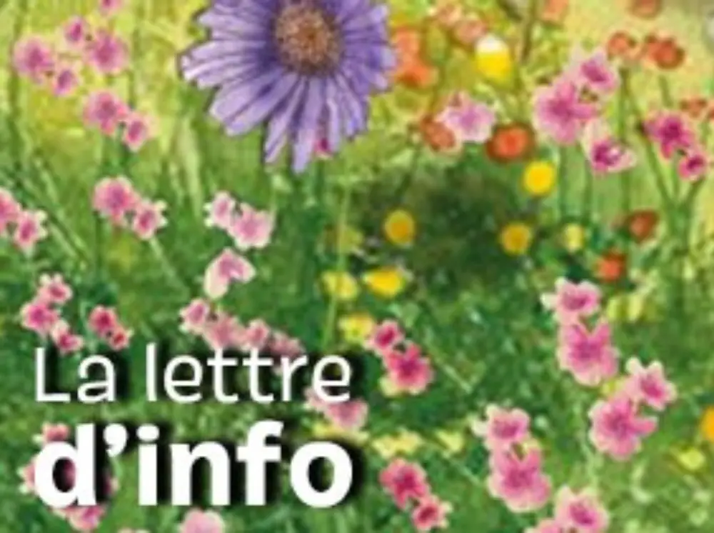 #1 Janvier