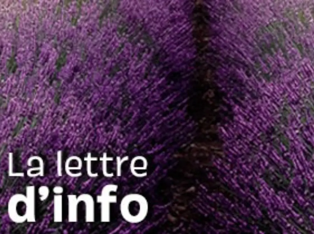#3 Avril