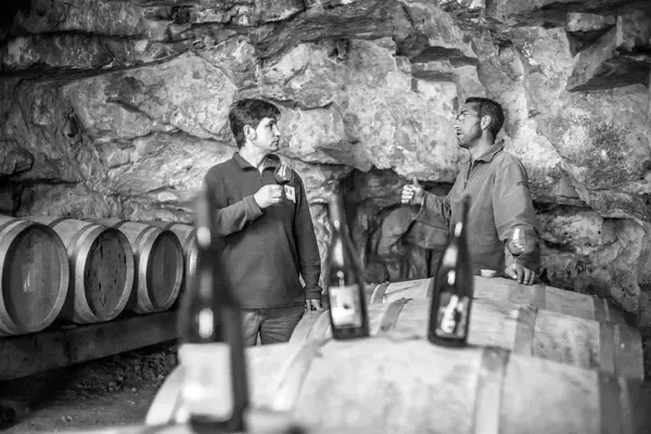 Cave - Domaine du Mortier