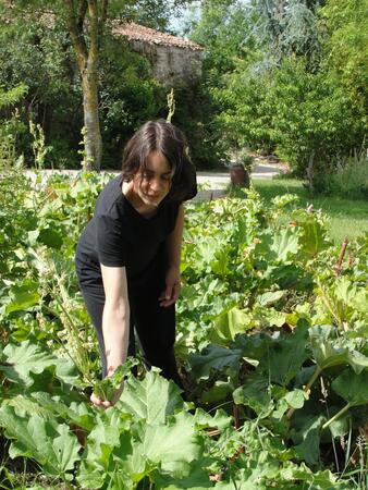 Fruits et légumes - Les jardins de la Bocardière